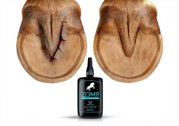 Zomp Horse Hoof Thrush Treatment Liquid Therazure Brand-3