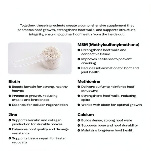 Summit Animal Health Horse Hoof Supplement Biotin Methionine-4