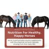 Biotin Hoof Blast Horse Guard Equine Hoof Supplement 100mg-6