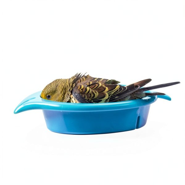 Mygeromon Bird Bath Tub Bowl Small Pet Birds Easy Install-6