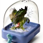 AUDFA Bird Bath Plastic Cage Mounted Bathing Feeder-0